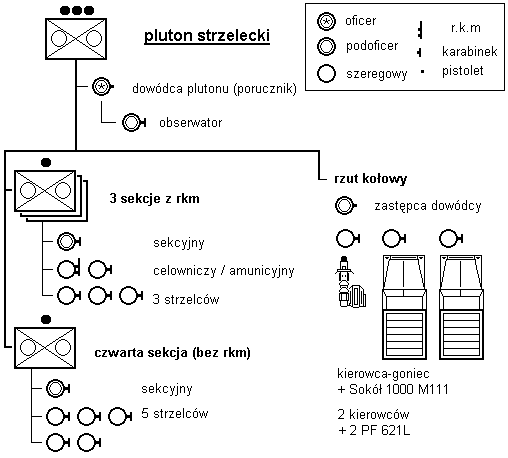 Dywizjon Rozpoznawczy 10 BK - Pluton Strzelecki Z 1939 | WOJSKO POLSKIE ...